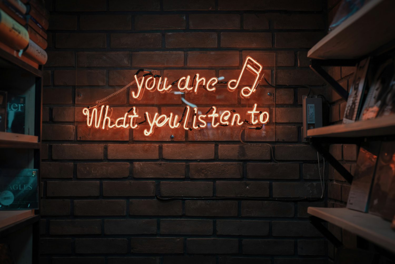 How TikTok Algorithms Dictate Modern Music Trends - Photo by Mohammad Metri on Unsplash