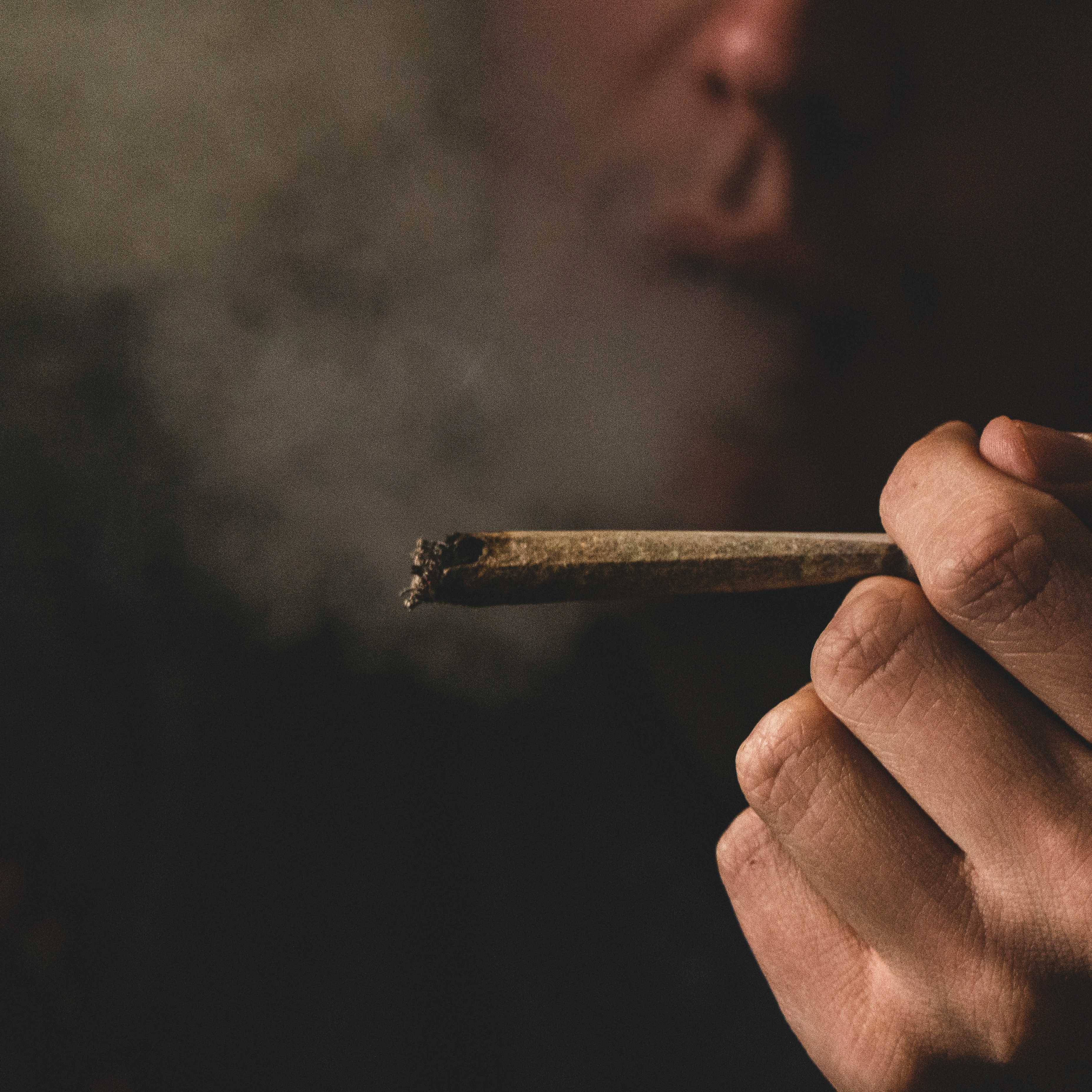 The Complete Guide to COAs For Dispensary Buyers, Owners, Managers, and Budtenders - Photo by GRAS GRÜN on Unsplash