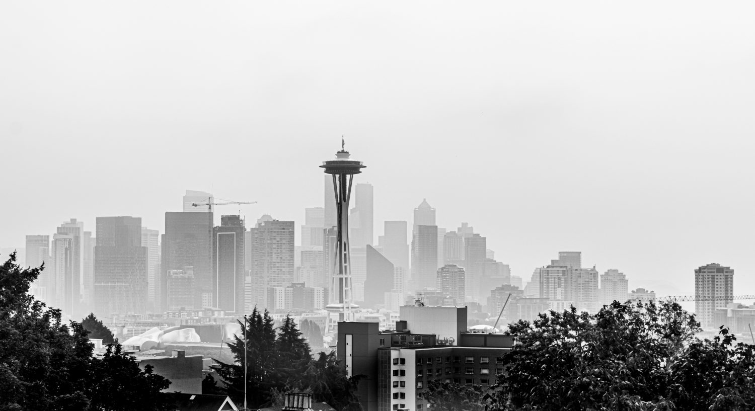 12 Things to Do in Seattle During the Summer: The Ultimate Food, Drink, and Activity Guide - Photo by Patty Zavala on Unsplash