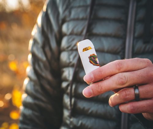 Live Rosin vs Live Resin: Which Cannabis Concentrate Is Actually Better? - Photo by Shelby Ireland on Unsplash