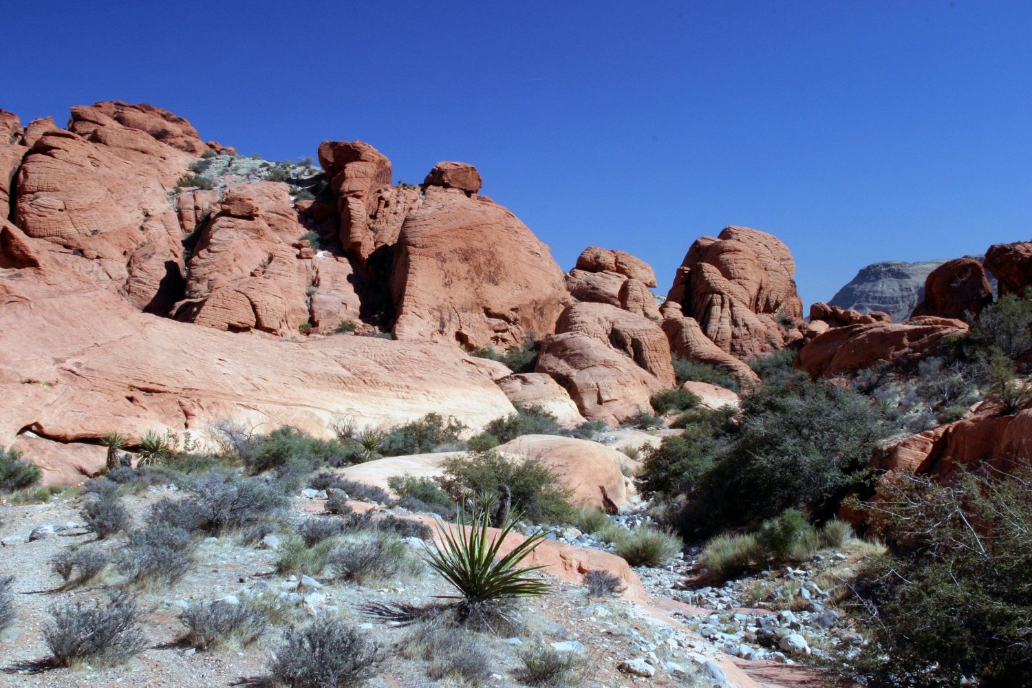 Beyond the Strip: 6 Scenic Hikes Near Las Vegas Worth Exploring - Photo by Chris Michals on Unsplash