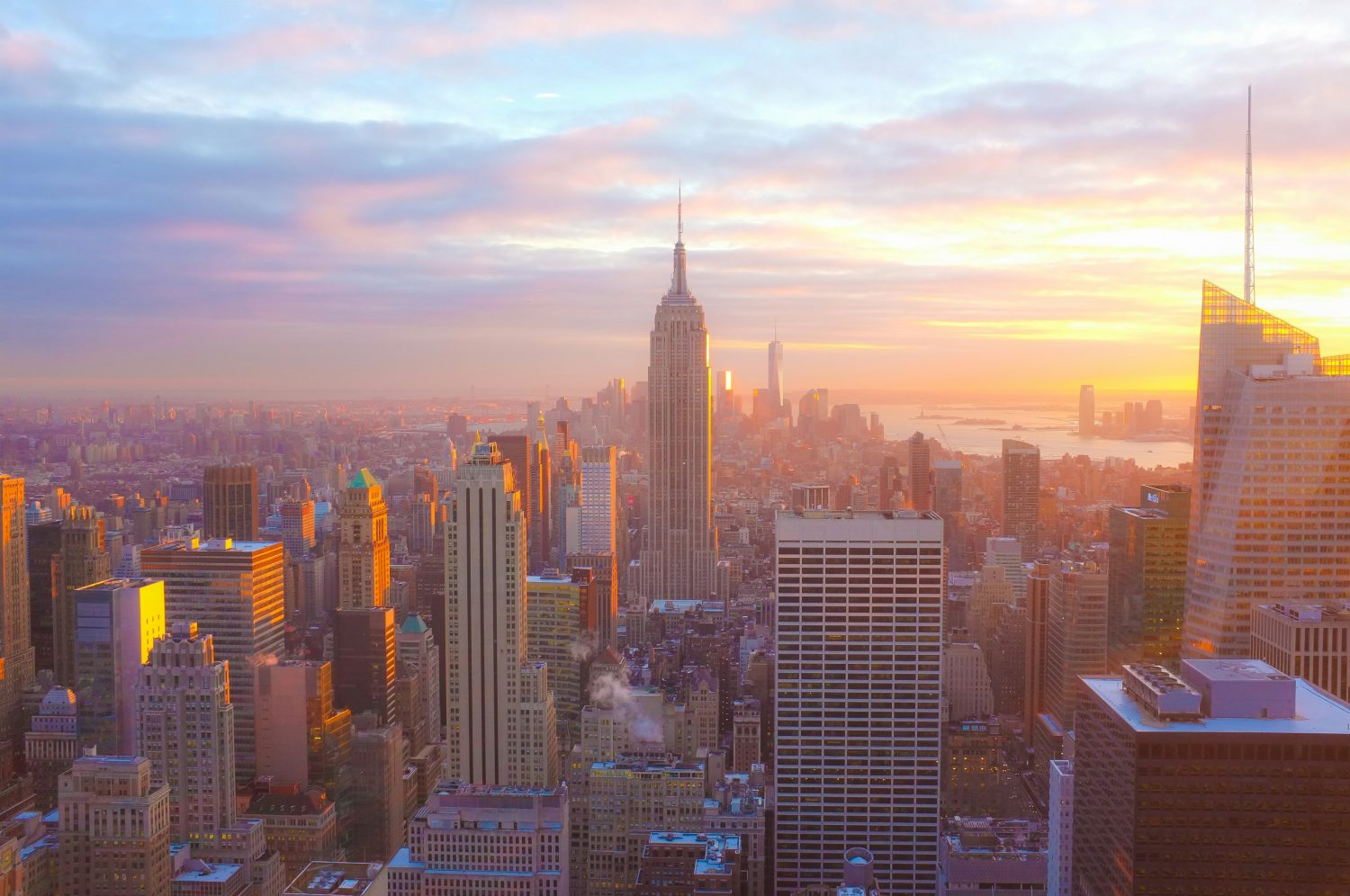 Eat Like a Local: NYC Restaurants Worth Finding - Photo by Emiliano Bar on Unsplash
