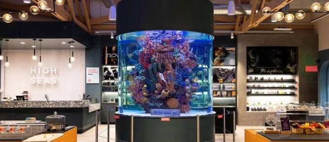 This Costa Mesa Dispensary Has 3 Saltwater Aquariums and Nearly 3,000 Cannabis Products