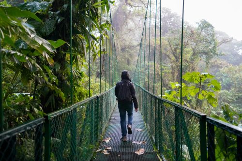 10 Fun Things to Do in Costa Rica During the Rainy Season- photo by j amill santiago on unsplash
