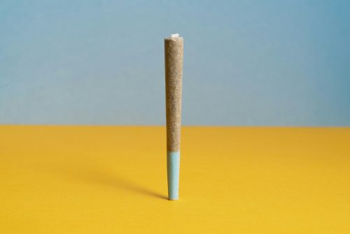 WNBA Removes Marijuana From Its Banned Substances List as Professional Sports Continue Embracing Cannabis- Photo by Nick Harsell on Unsplash