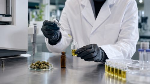 Why Earlier R&D Testing Can Help Cannabis Manufacturers Create a Better End Product