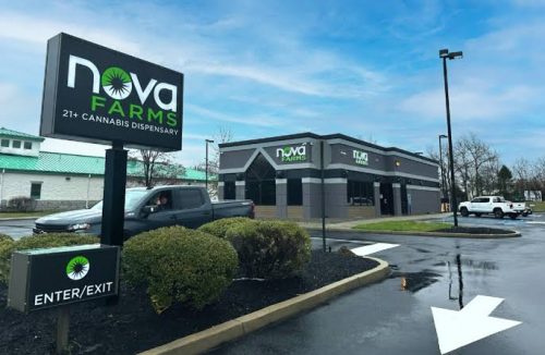 Exploring Nova Farms Cannabis Cultivation, Retail, and Growth Across the Northeast