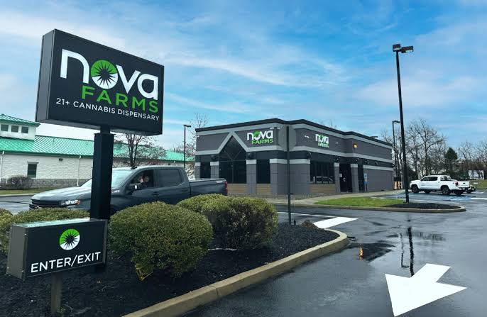 Exploring Nova Farms Cannabis Cultivation, Retail, and Growth Across the Northeast