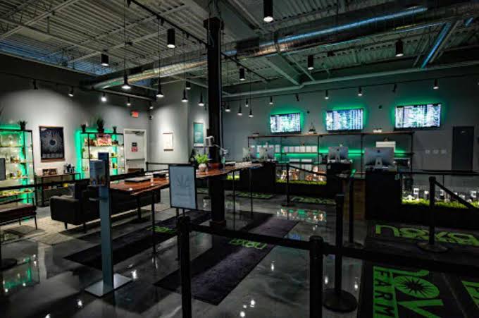 Exploring Nova Farms Cannabis Cultivation, Retail, and Growth Across the Northeast