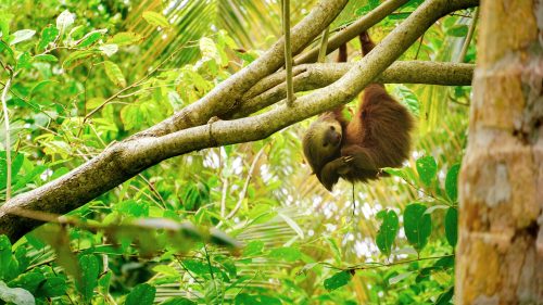 Best Places to Stay in Costa Rica: Hotels, Resorts, and Eco-Lodges for Every Type of Trip - Photo by Adrián Valverde on Unsplash