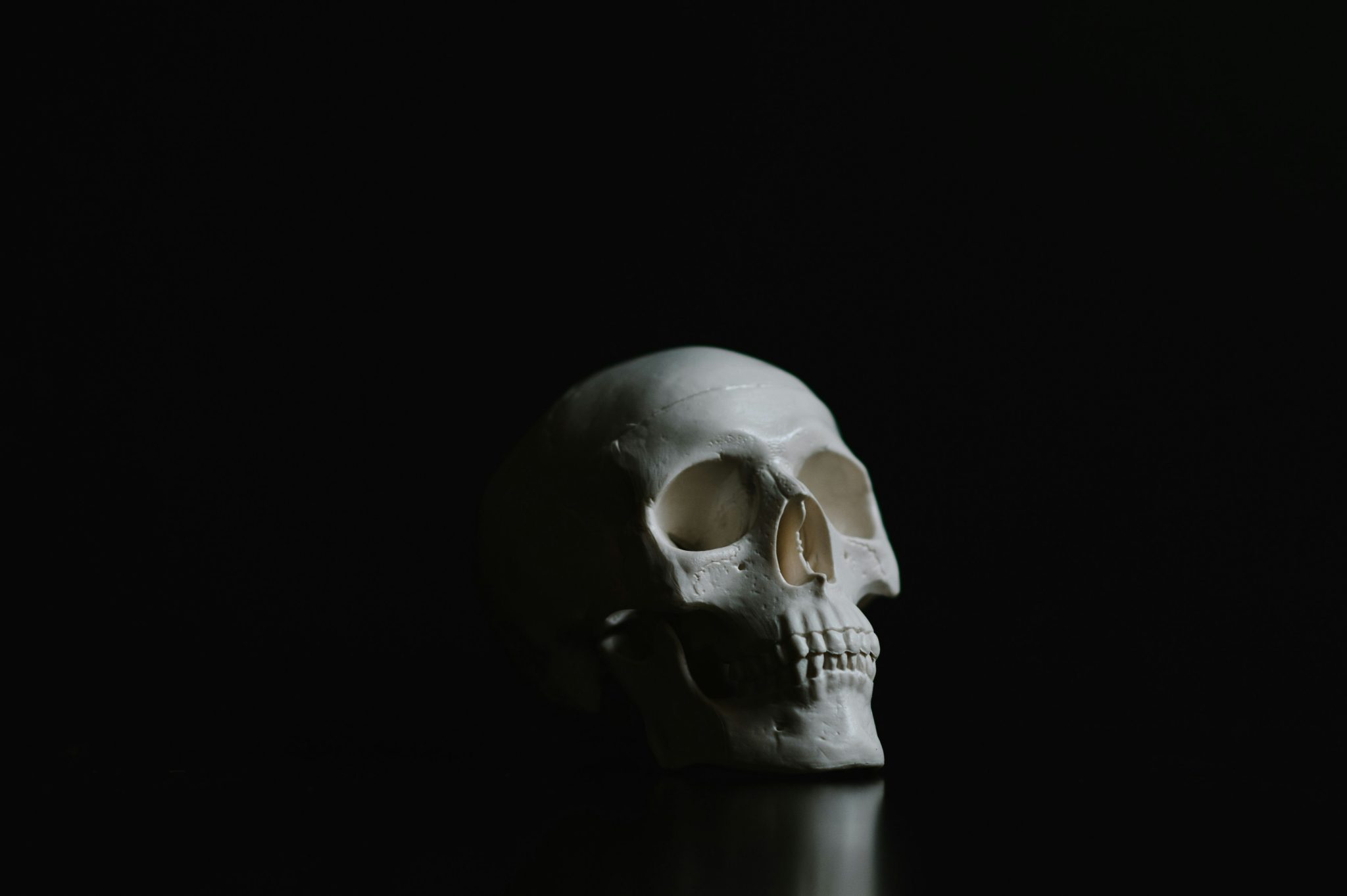Rap and Hip-Hop Scary Music Videos for Halloween—and the Directors Who Made Them - Photo by Audrey Amaro on Unsplash