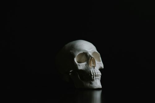Rap and Hip-Hop Scary Music Videos for Halloween—and the Directors Who Made Them - Photo by Audrey Amaro on Unsplash