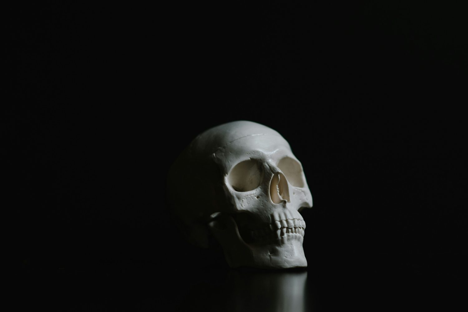 Rap and Hip-Hop Scary Music Videos for Halloween—and the Directors Who Made Them - Photo by Audrey Amaro on Unsplash
