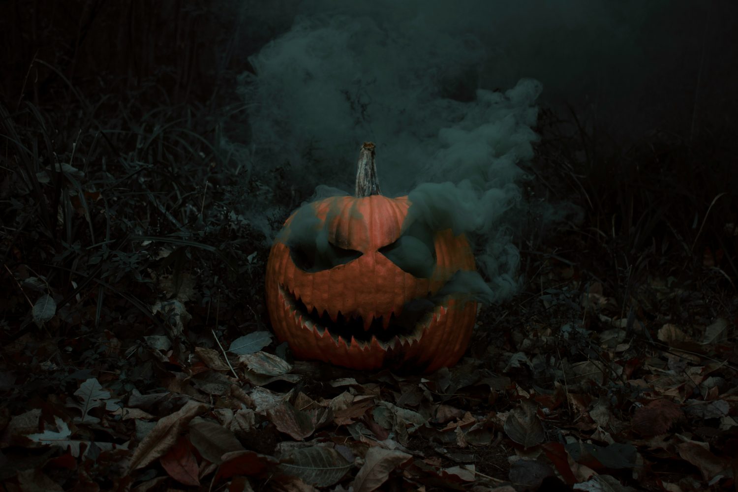 10 Hip-Hop Halloween Costume Ideas for 2026 That Actually Look Like the Artist - Photo by Daniel Lincoln on Unsplash