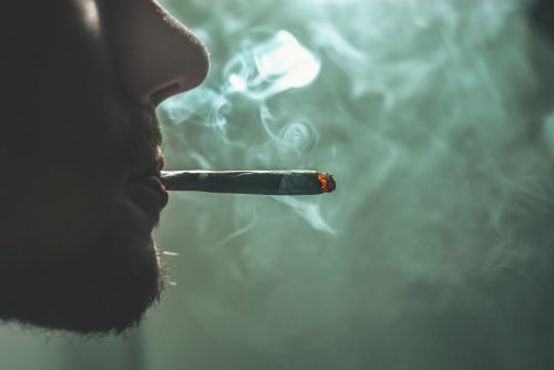 How Cannabis Retailers Can Use AI to Save Time and Run More Efficient Operations - Photo by GRAS GRÜN on Unsplash
