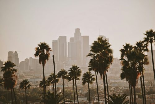 The Weed Lover’s Travel Guide to Los Angeles: Cannabis Lounges, Dispensaries, Tacos, Korean BBQ, Views, and More - Photo by Joel Mott on Unsplash