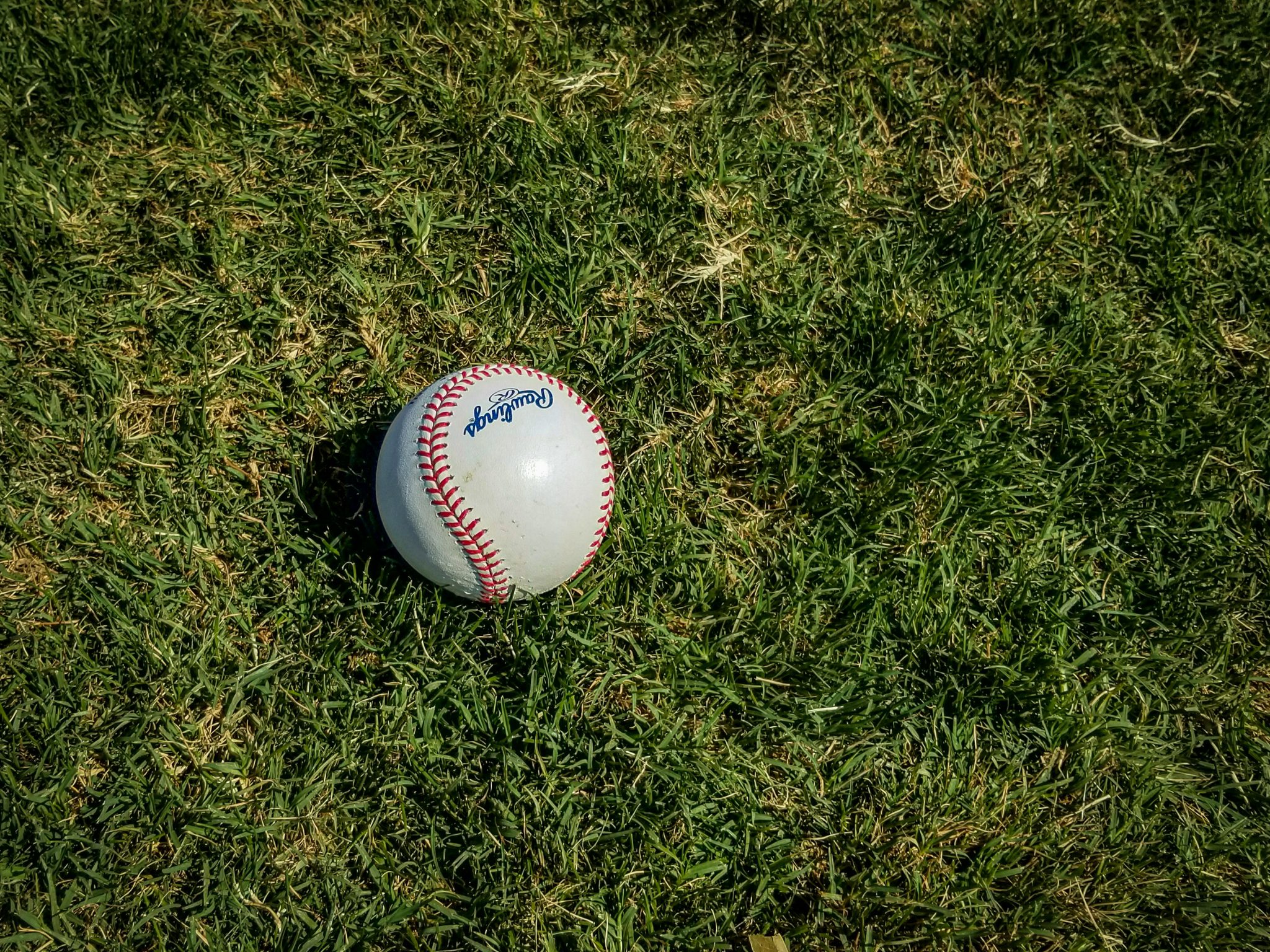 MLB 2026: Teams Driving the American League Conversation - Photo by Mick Haupt on Unsplash