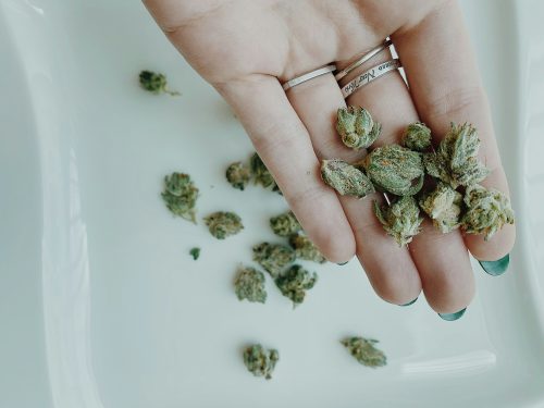 Social Media Engagement Can Drive Real Business for Cannabis Brands and Dispensaries - Photo by Nicole Plunkett on Unsplash