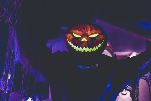 15 Cannabis Halloween Costume Ideas That Go Beyond a Giant Weed Leaf - Photo by Quilia on Unsplash