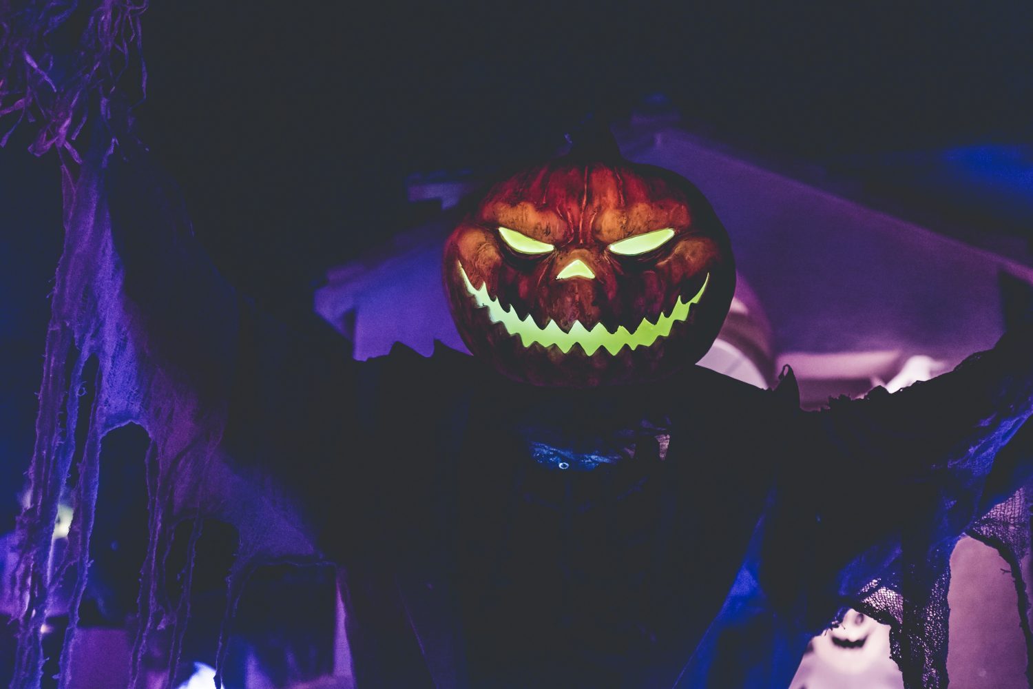 15 Cannabis Halloween Costume Ideas That Go Beyond a Giant Weed Leaf - Photo by Quilia on Unsplash