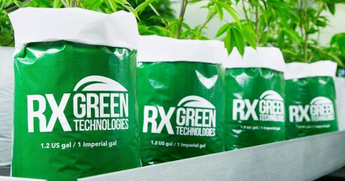 Beyond Price Per Bag: The Real Business Impact of Ready-to-Use Grow Bags
